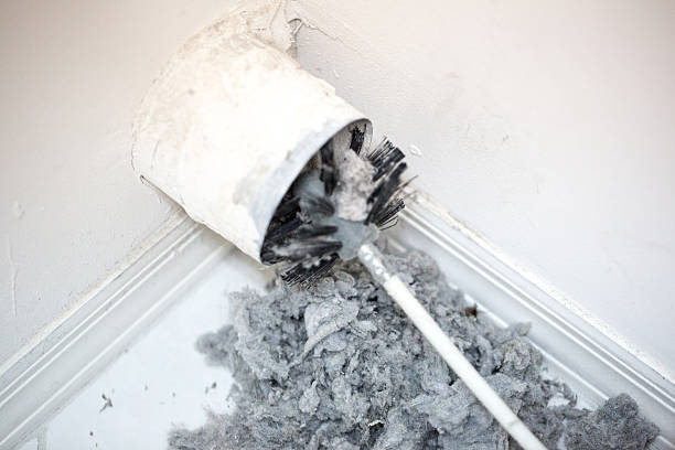 Best Local Air Duct Cleaning Services  in Mesa, AZ